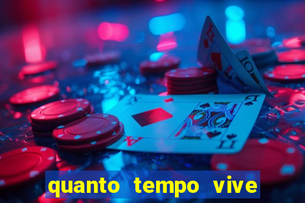 quanto tempo vive um passarinho bem-te-vi